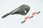 Foto von Bronzekahnfibel (NHMW-PRAE-024655)